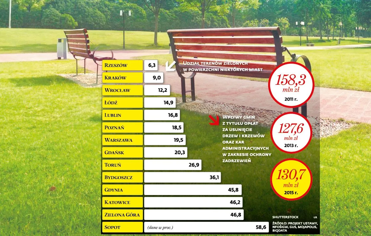 Cała zieleń w ręce gmin. Grozi nam niekontrolowana wycinka?