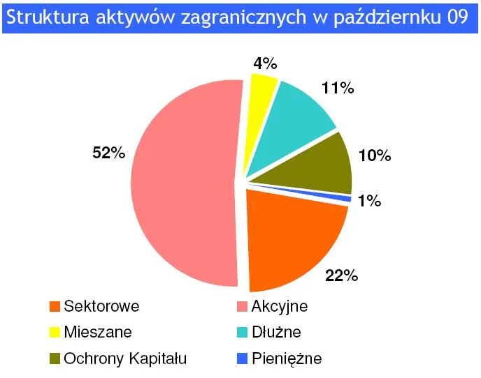 struktura_aktywow_zagranicznych_w_pazdzierniku_2009_136589.jpg