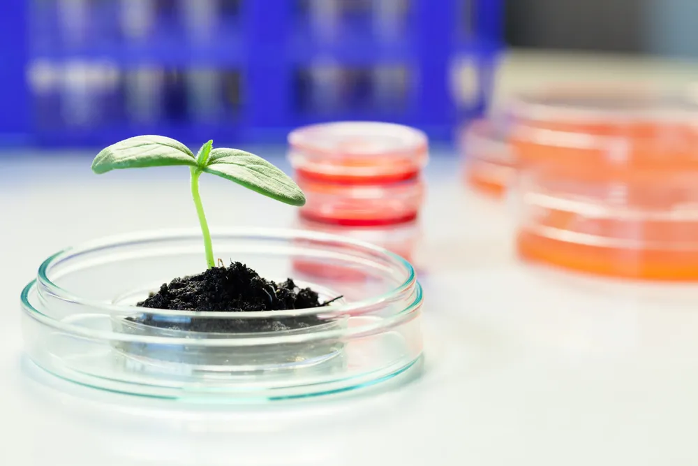 GUS: Nakłady na działalność innowacyjną wyniosły łącznie 36,6 mld zł w 2012 r.