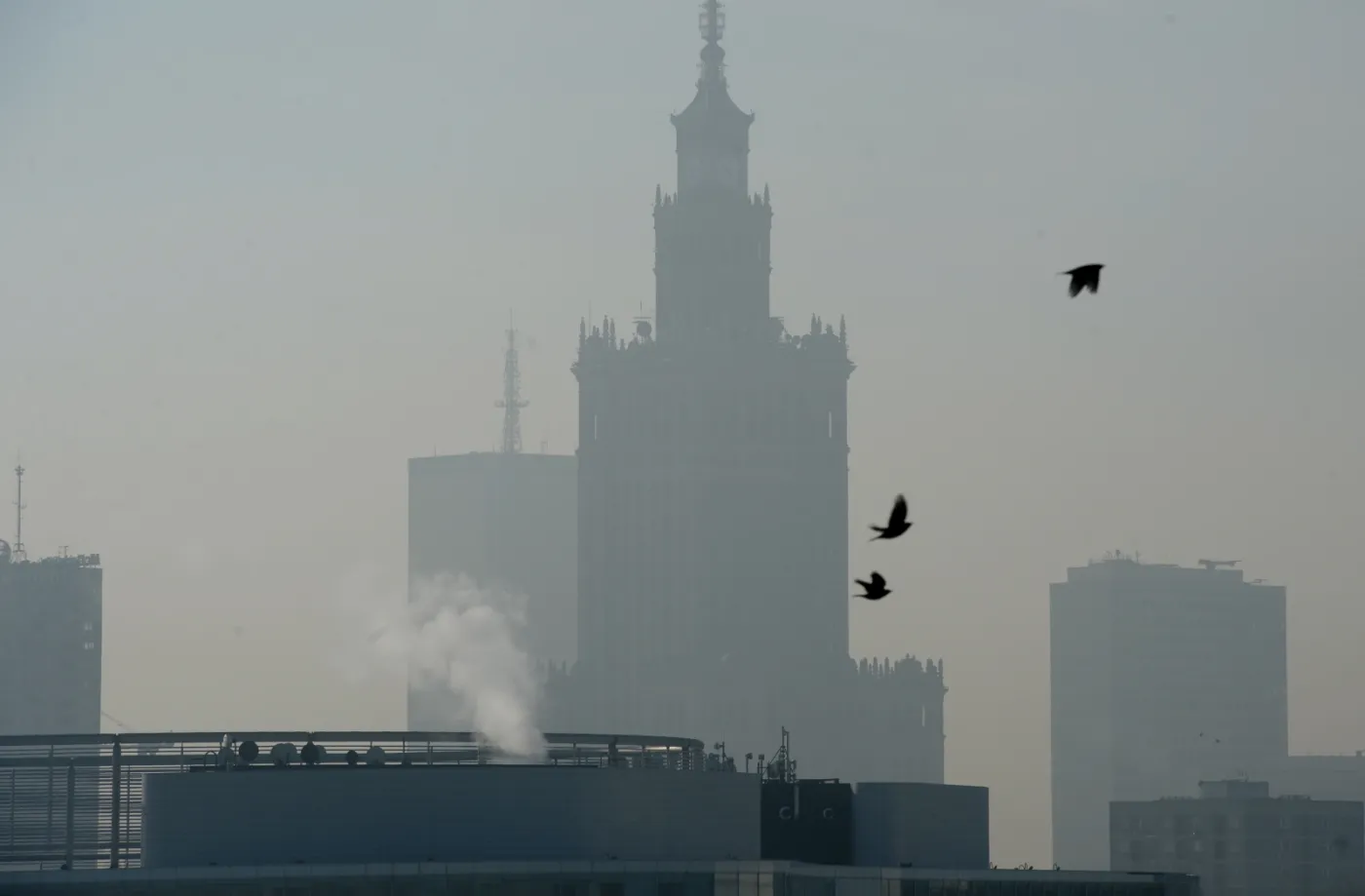 Skąd się bierze tak duży smog? Ekspert: Każdy z nas jest winowajcą