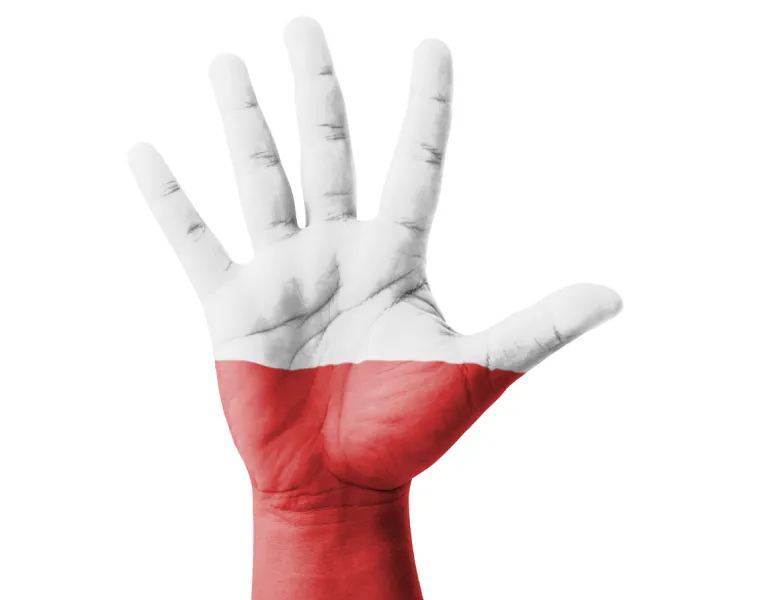 Budżet nie jest nasz. Co by się stało gdyby wszyscy podatnicy uczciwie rozliczali się z fiskusem?