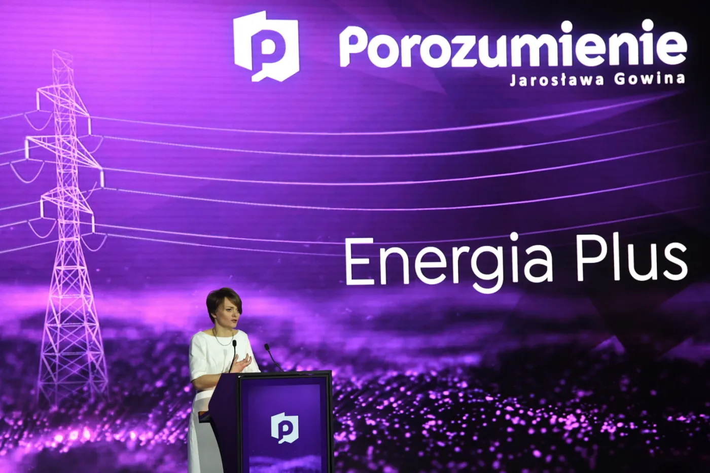 "Koszty energii niższe o 2,5 tys. zł rocznie". Minister Emilewicz zapowiedziała program Energia Plus