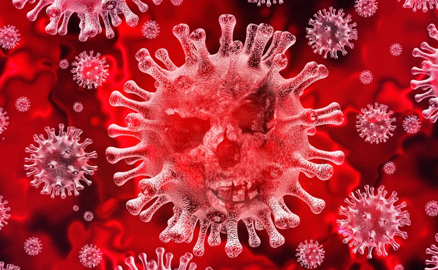 Badania: Związek z alg lepiej blokuje koronawirusa w niż remdesiwir