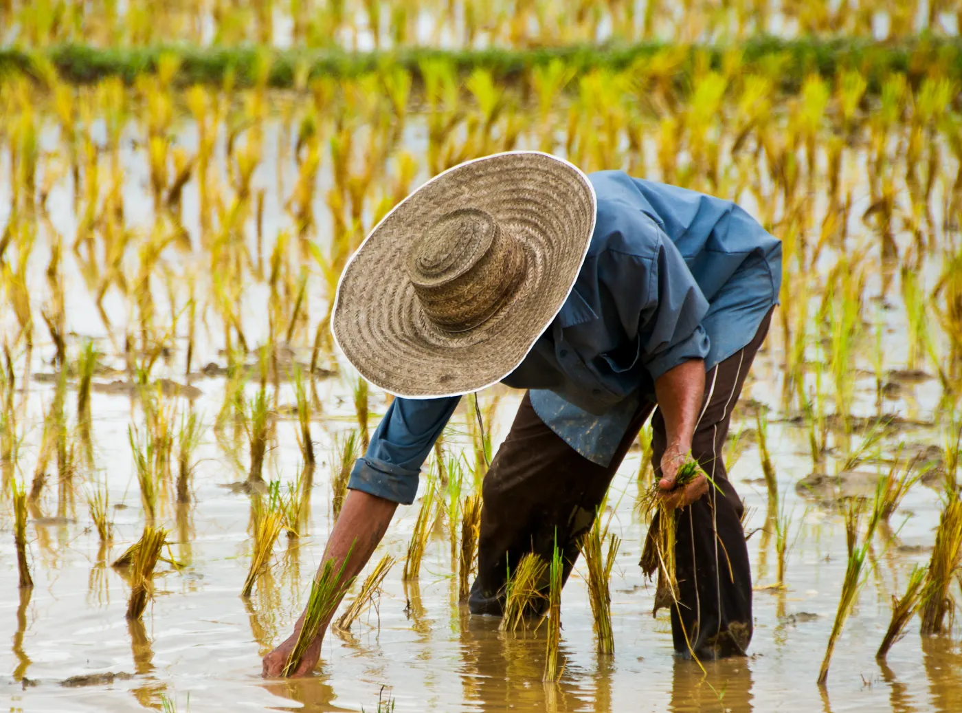 Zaskakujący sekret chińskiego cudu gospodarczego