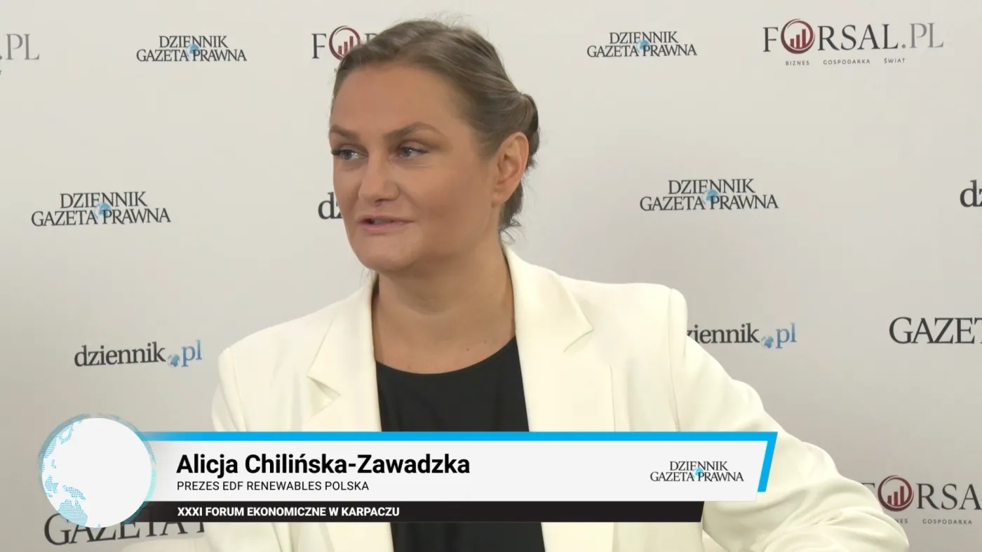 Chilińska-Zawadzka: Nie tylko towary mają swoją narodowość, ale również energia