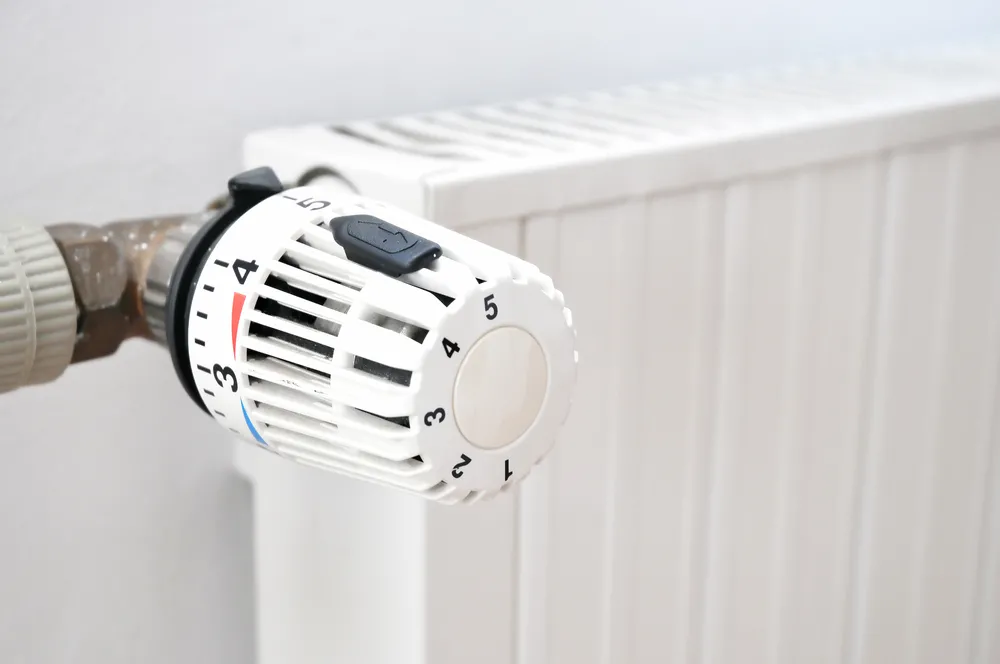 SPEC zmienia nazwę na Dalkia Warszawa