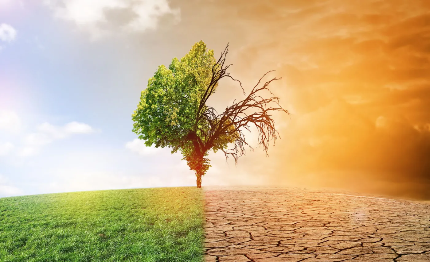 Spór fundamentalny. Czy Zielony Ład to komunizm? [POLEMIKA]