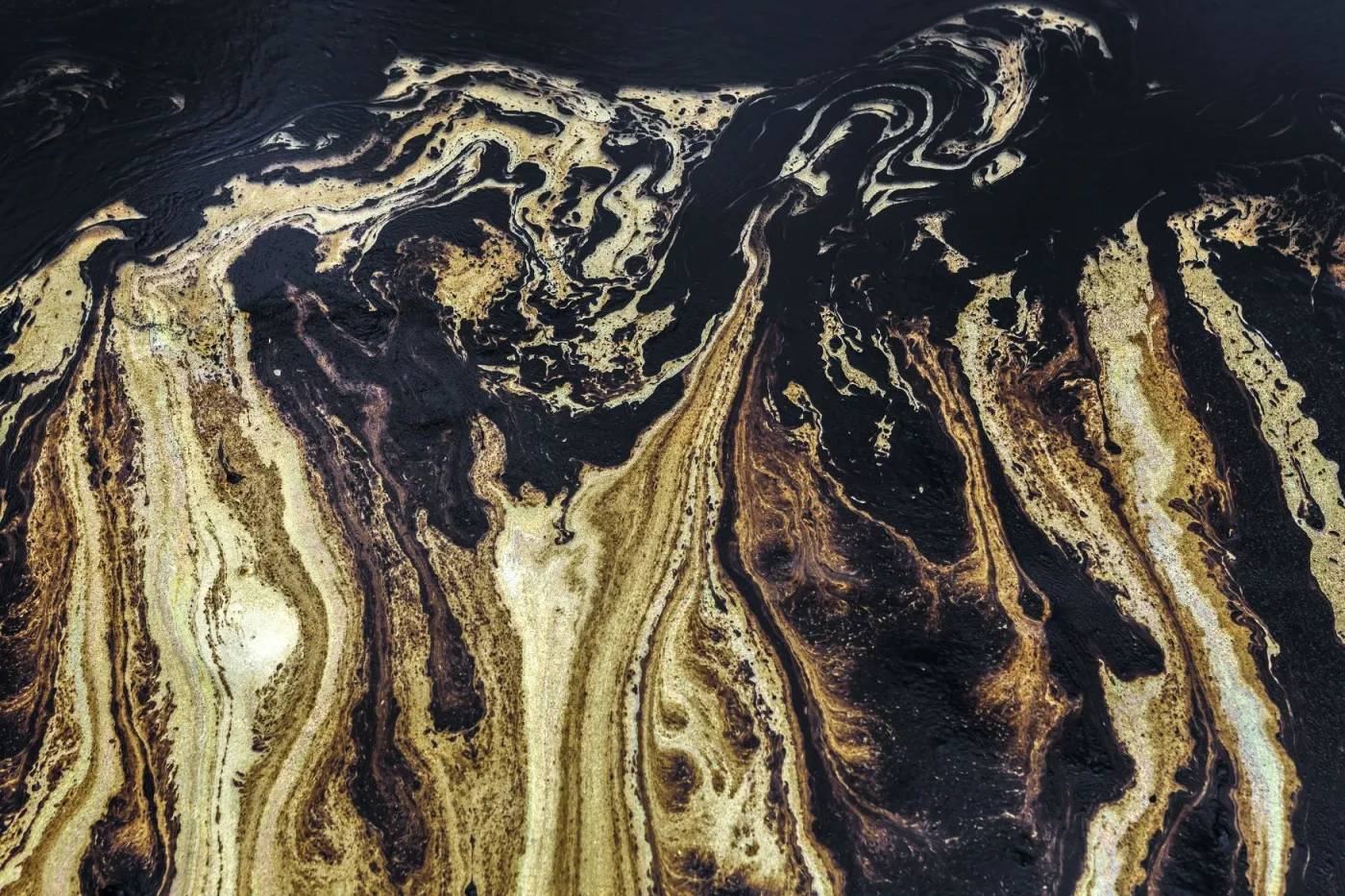 U wybrzeży Kalifornii dryfuje długa na 10 km plama ropy