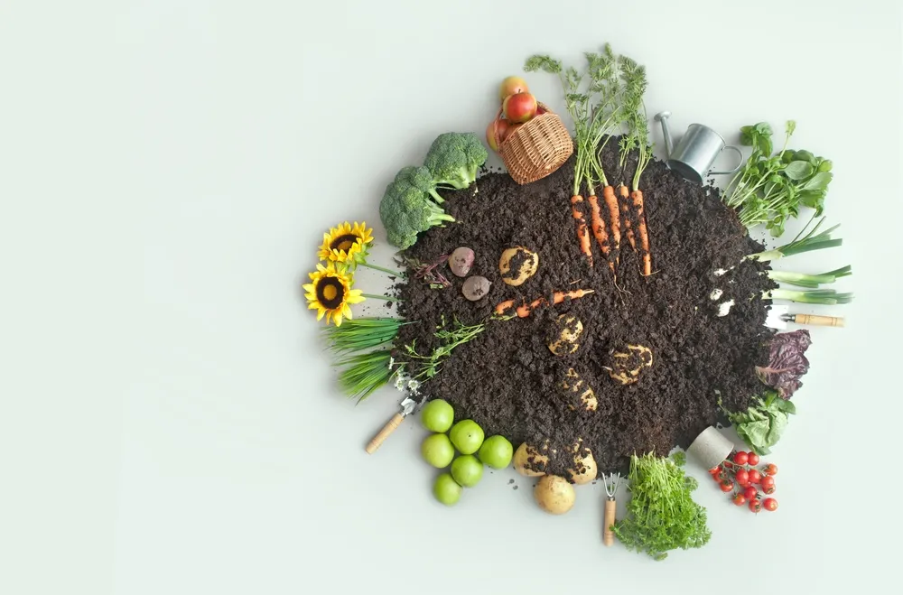 dieta planetarna warzywa owoce ziemia klimat ekologia