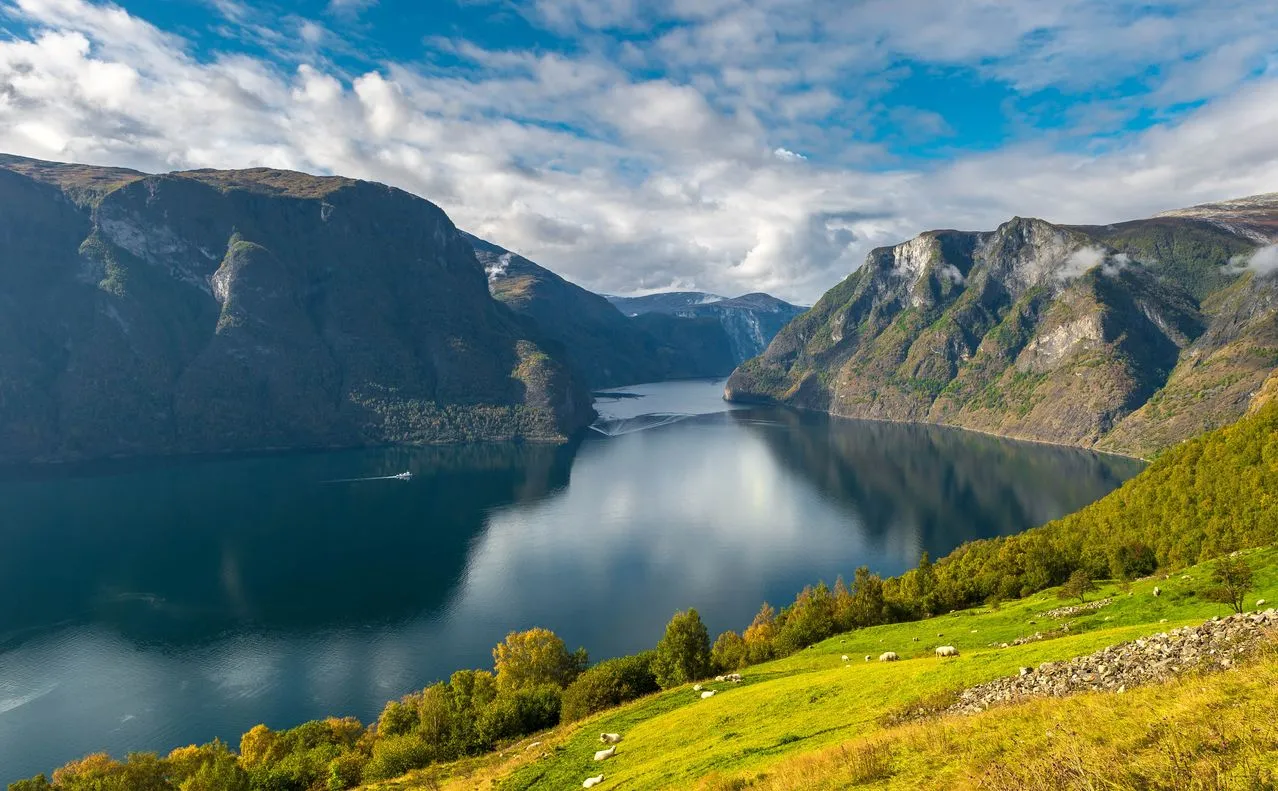 Ujemne ceny energii w Norwegii. Rachunki za prąd tanieją