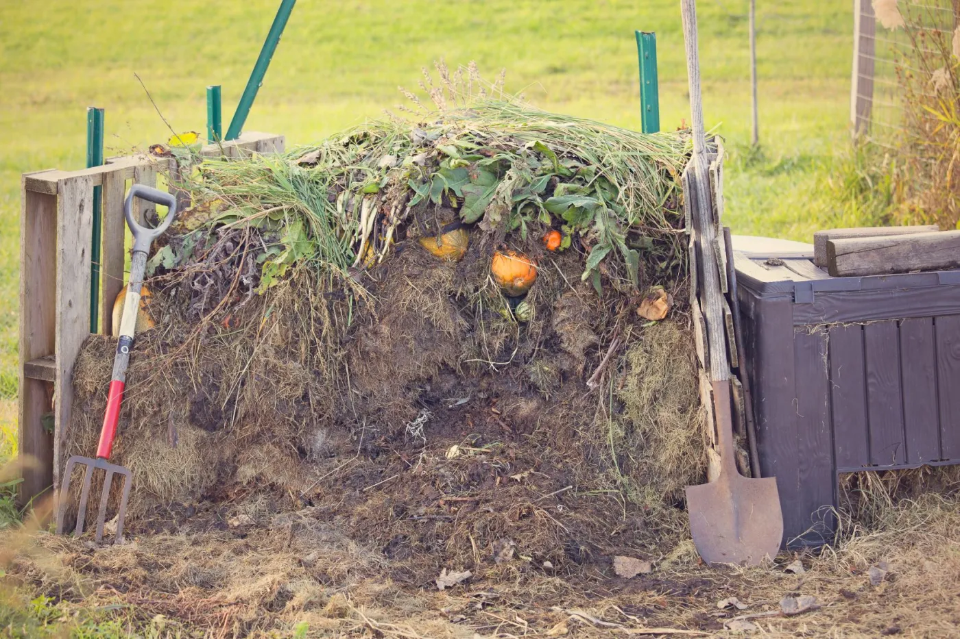 Kiedy kompostownik został nielegalnie postawiony na posesji?