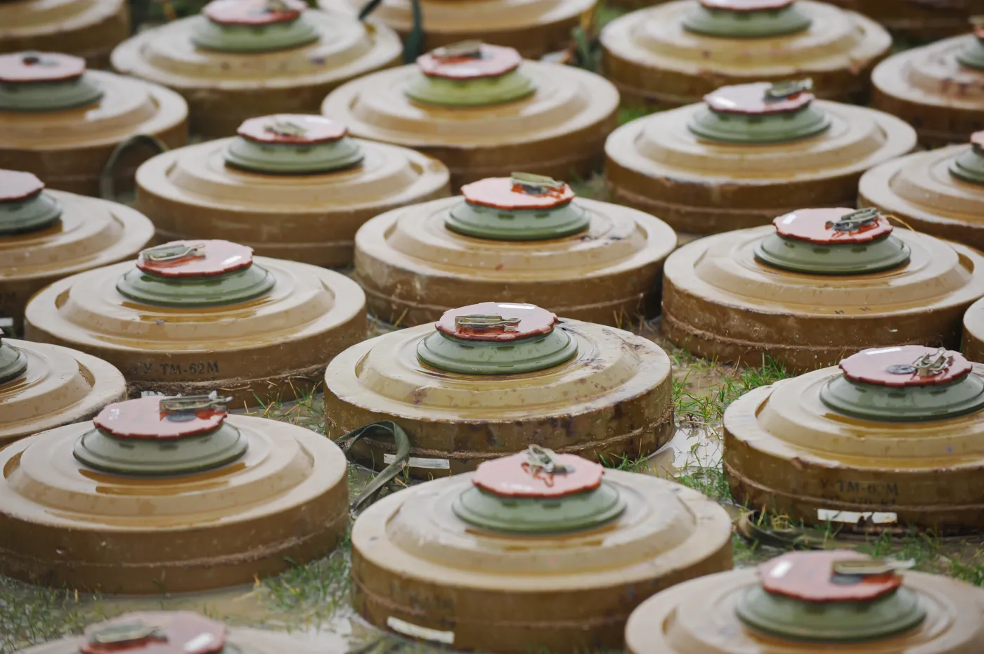 Amnesty International alarmuje: decyzja rządu uderzy w Polaków, nie w Rosję