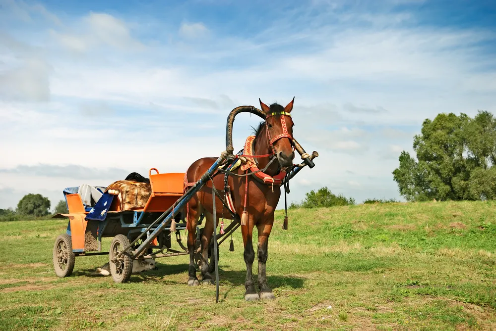 W styczniu rząd ma zająć się projektem programu budowy dróg
