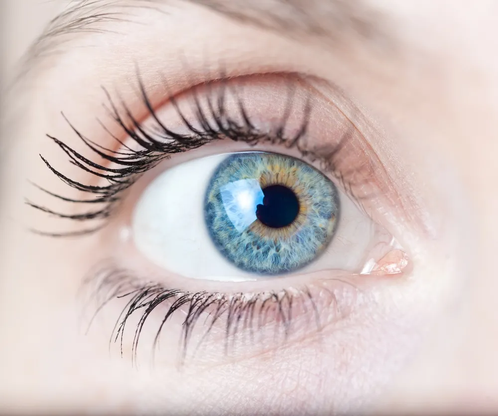 Co naprawdę widzi nasze oko? Polacy chcą podbić rynek rewolucyjnym wynalazkiem?