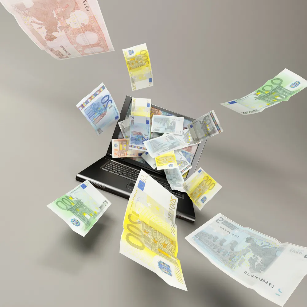 Pieniądze dzięki sieci