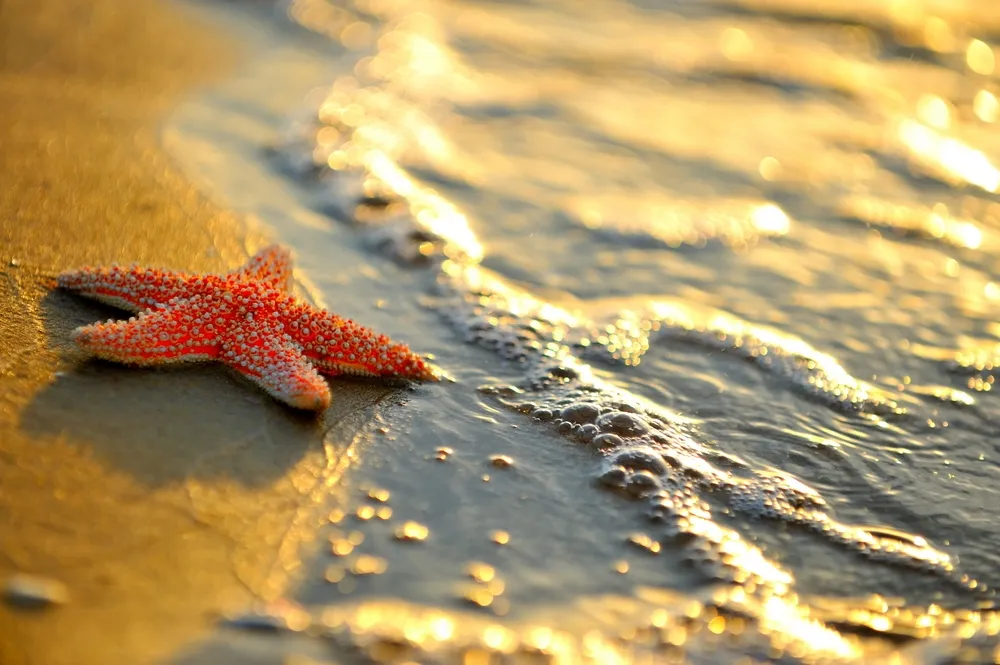 Ile zapłacisz za transfer gotówki za granicę?