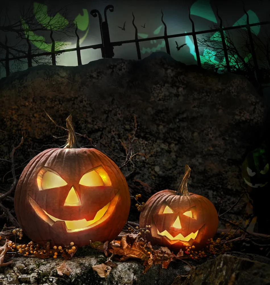 Moda na dynie - slow food dla zdrowia i wyglądu