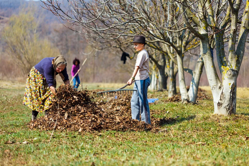 Pomoc domowa niczym praca niewolnicza
