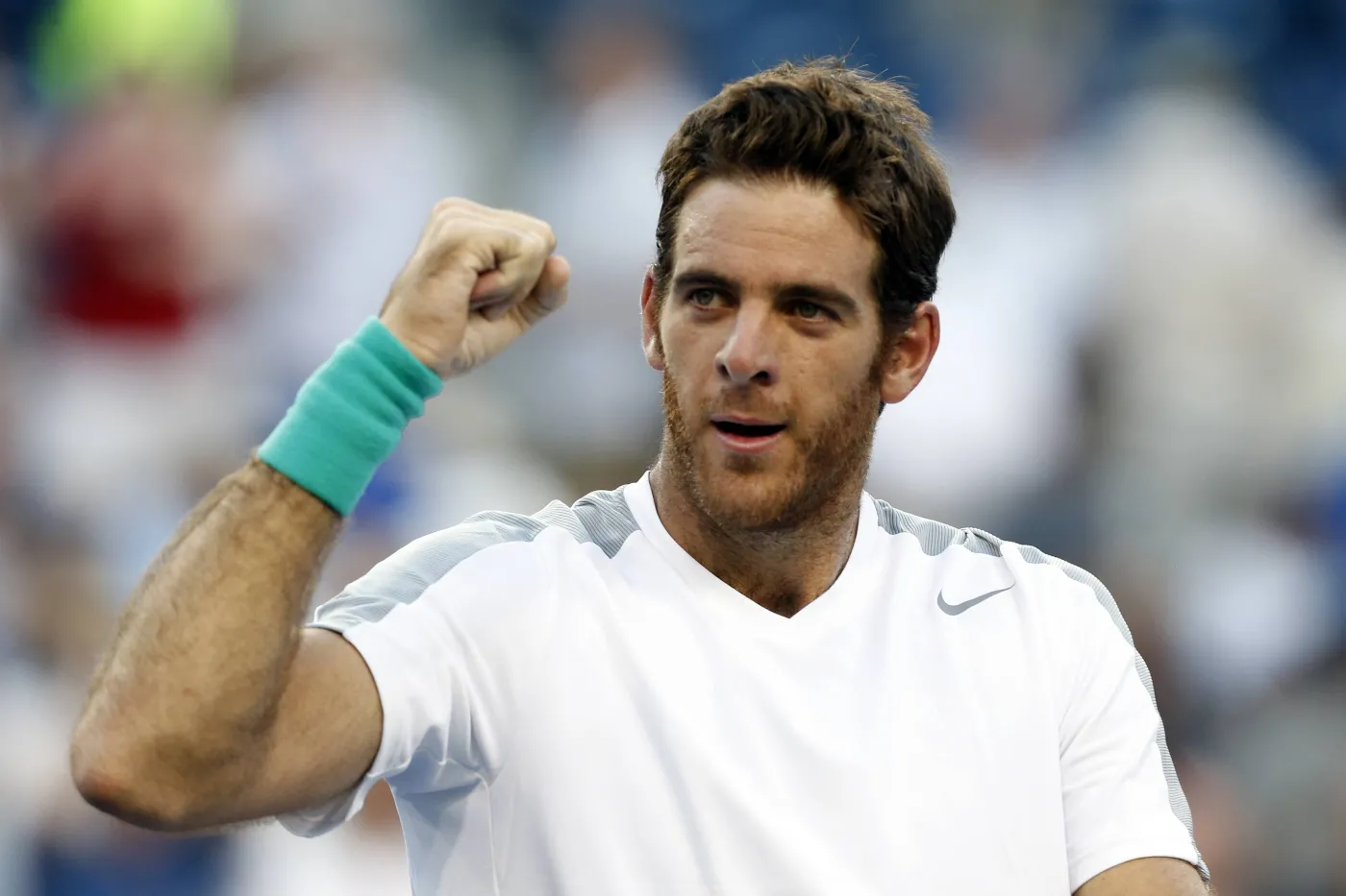 1378626-juan-martin-potro-jpg.jpg