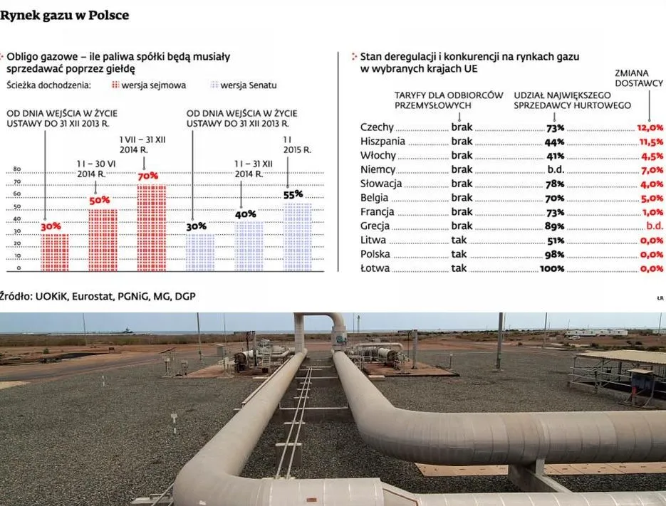 UOKiK przygotuje zmiany umów gazowych dla przemysłu