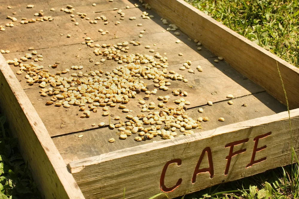 Gospodarczy przegląd prasy Forsal.pl - 23.08.2013