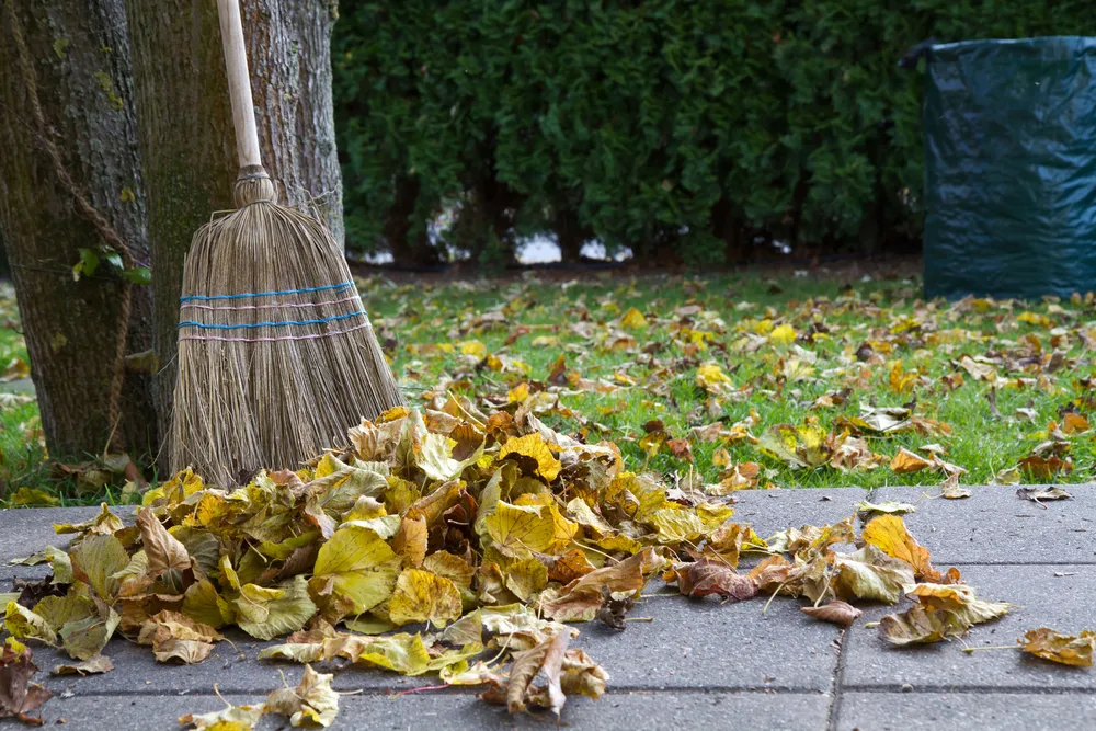 Gospodarczy przegląd prasy Forsal.pl - 19.09.2013