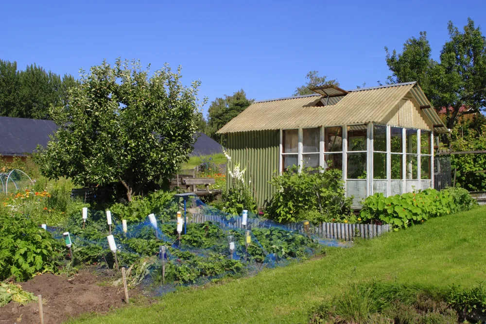 Politycy: działkowcy zostają na swoim