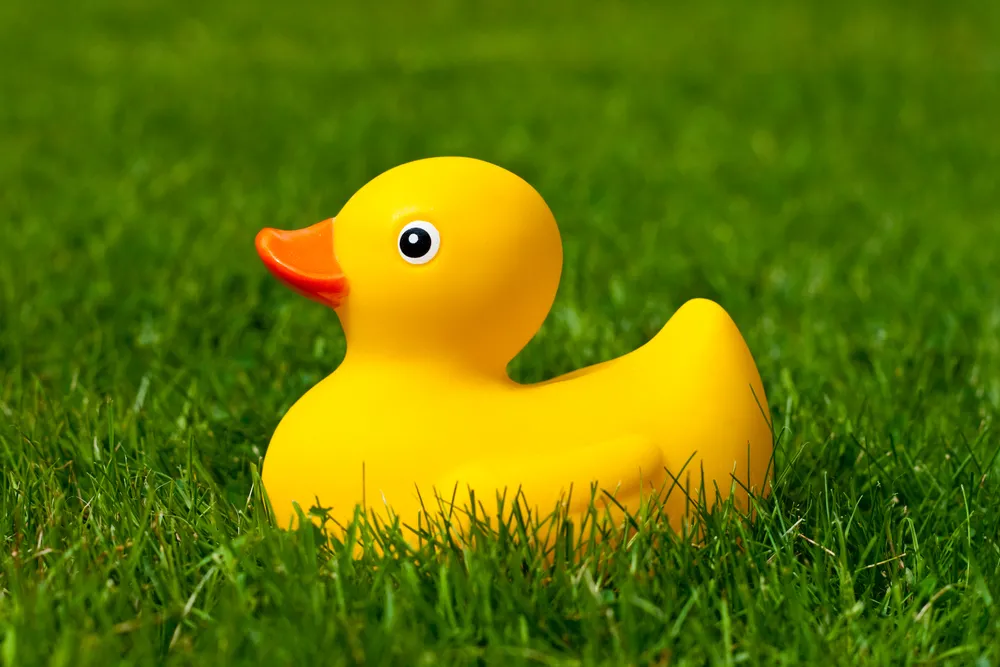 Kieszonkowa niespodzianka