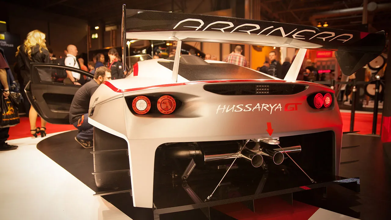 2628942-arrinera-hussarya-fot.jpg