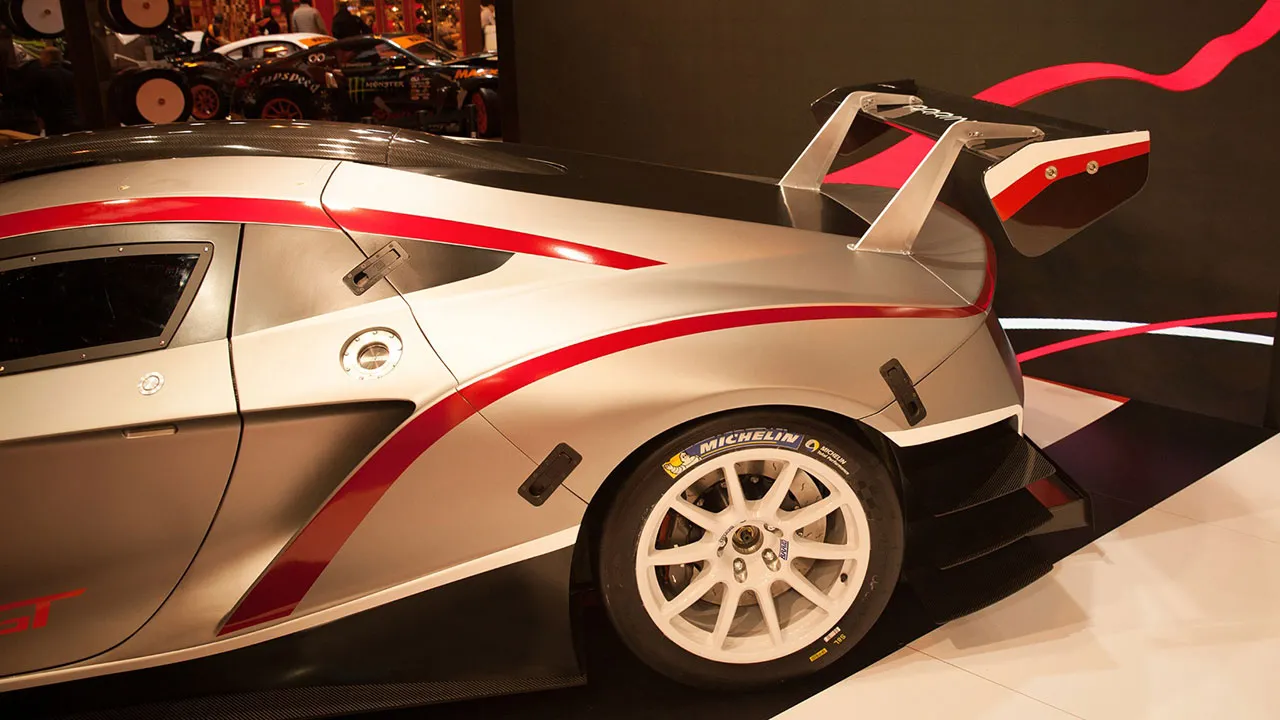 2628974-arrinera-hussarya-fot.jpg