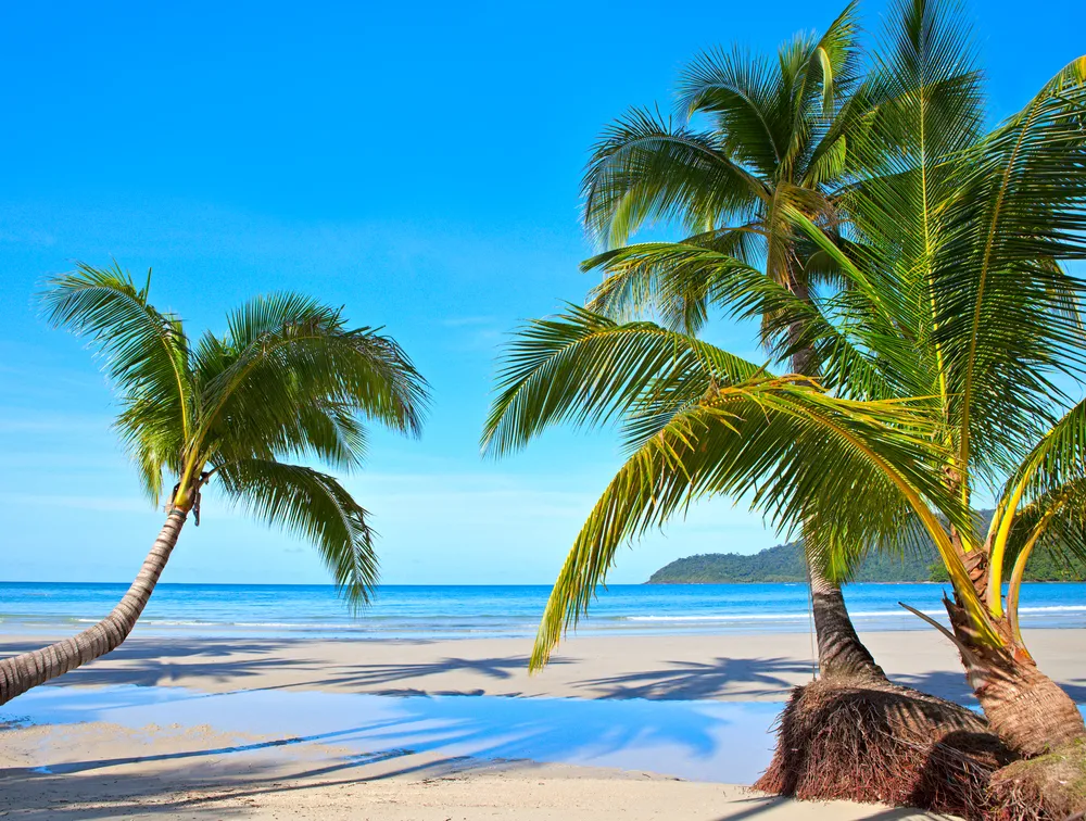 Chińska firma wydzierżawi jedną z Wysp Salomona. USA mogą mieć powody do obaw