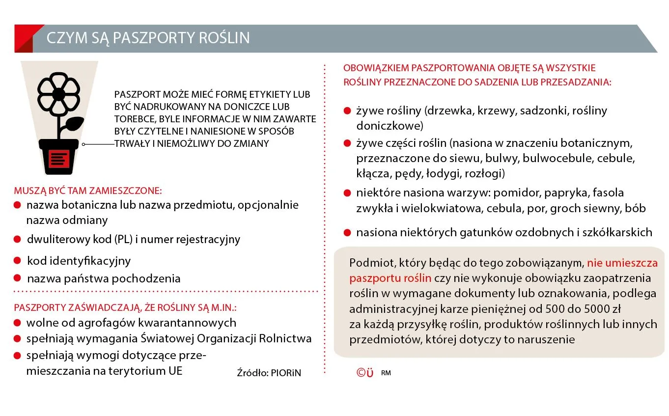 5 tys. zł kary za wystawienie na Allegro papryki bez paszportu