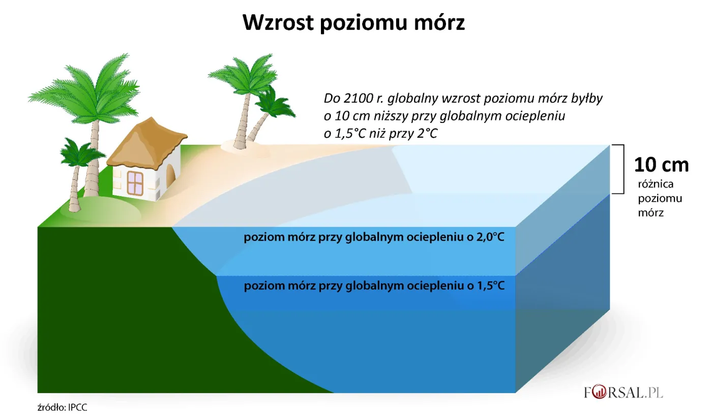 Pół stopnia, które robi wielką różnicę. Dlaczego ocieplenie klimatu jest aż tak dużym zagrożeniem?