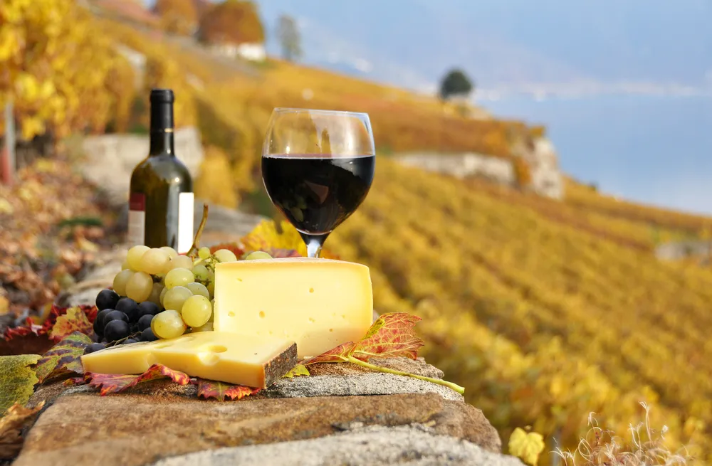 "Polska Wódka" będzie chroniona. UE i Chiny podpisały umowę o zabezpieczeniu oznaczeń geograficznych.