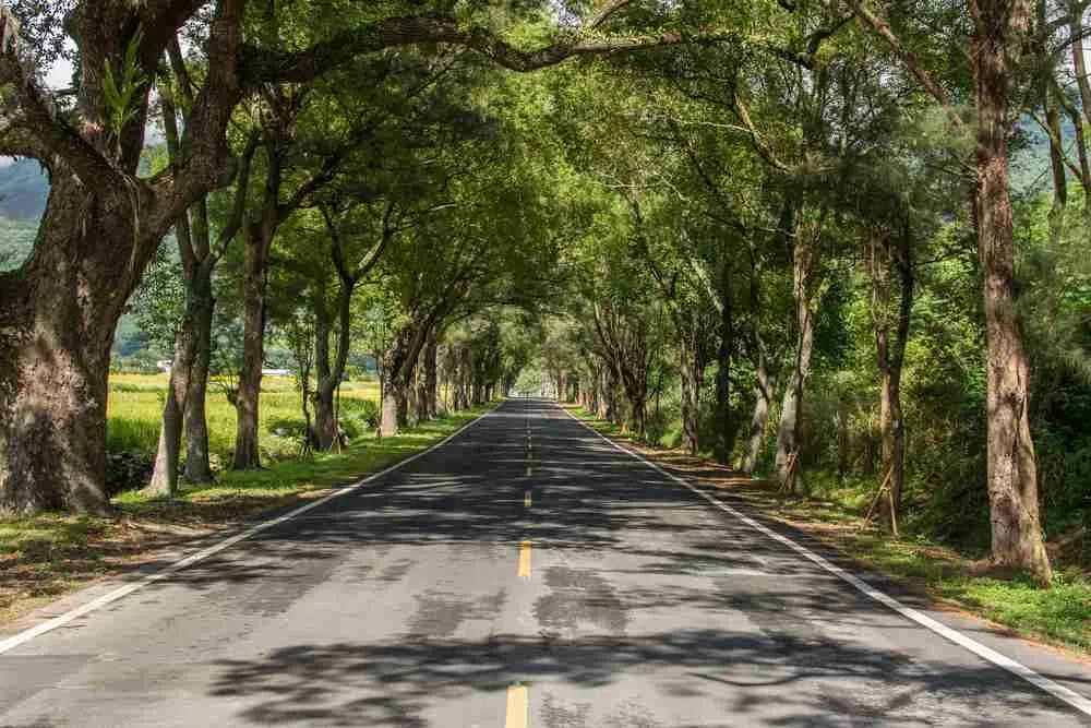 Nadjeżdża rewolucja w transporcie. Rząd chce przywrócić upadające połączenia autobusowe