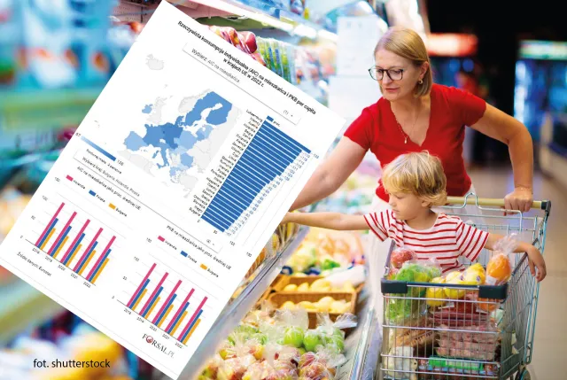 Mapa dobrobytu materialnego gospodarstw domowych w krajach UE. Eurostat podał dane za 2022 r.