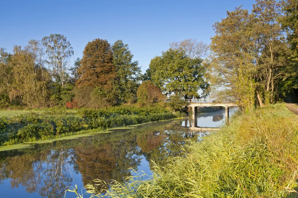 Przyroda jest skuteczniejsza. Nie da się rozwiązywać problemów na papierze [WYWIAD]