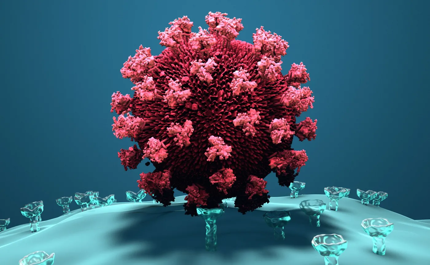 Nanoprzynęty na wirusa. Naukowcy opracowali nową metodę walki z SARS-CoV-2