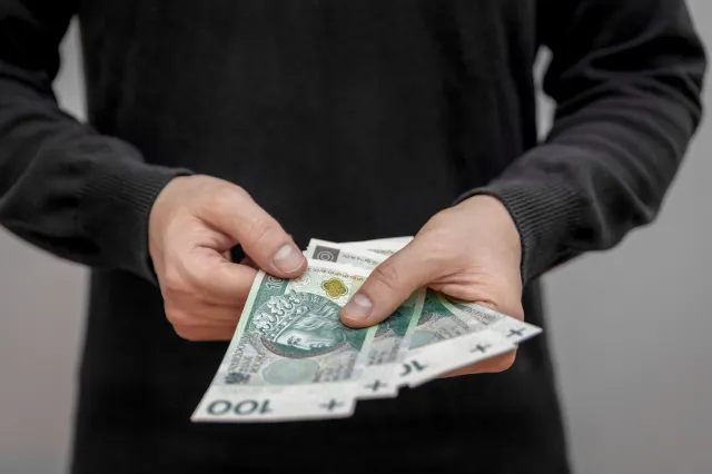 Ile pieniędzy miesięcznie miał statystyczny Polak w 2023 roku? Dane GUS