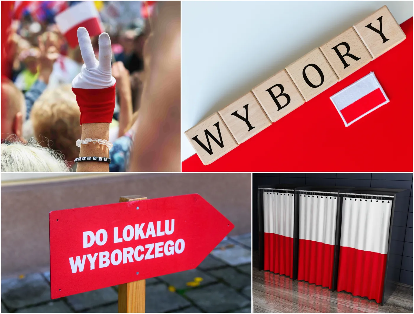 wybory samorządowe