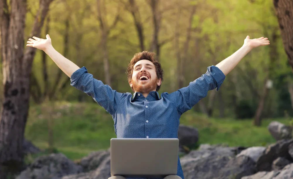 internet las komputer szczęście dobrostan laptop natura