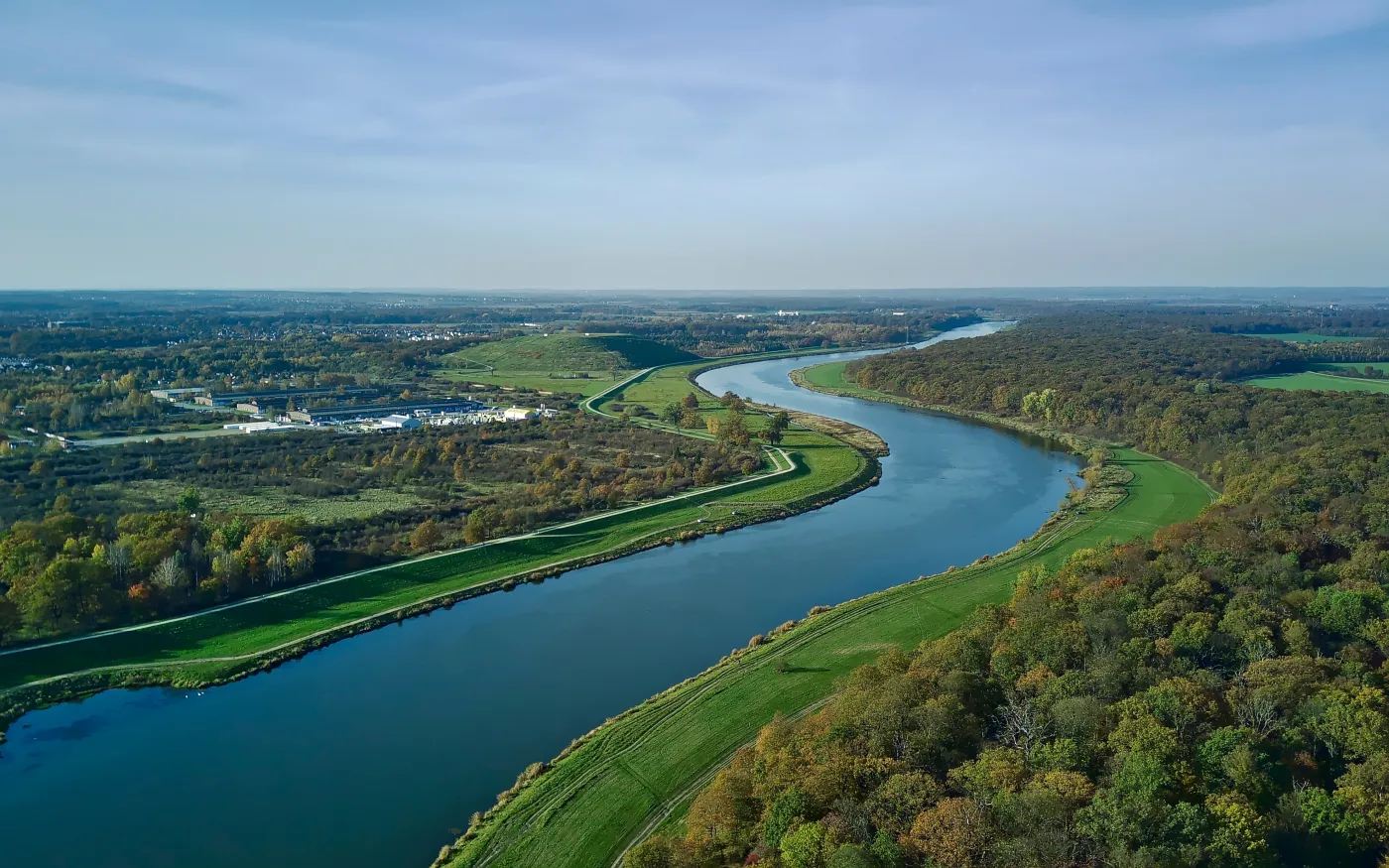 Złota alga wciąż zagraża Odrze. Nadal brak pełnej kontroli nad stanem rzek i jezior