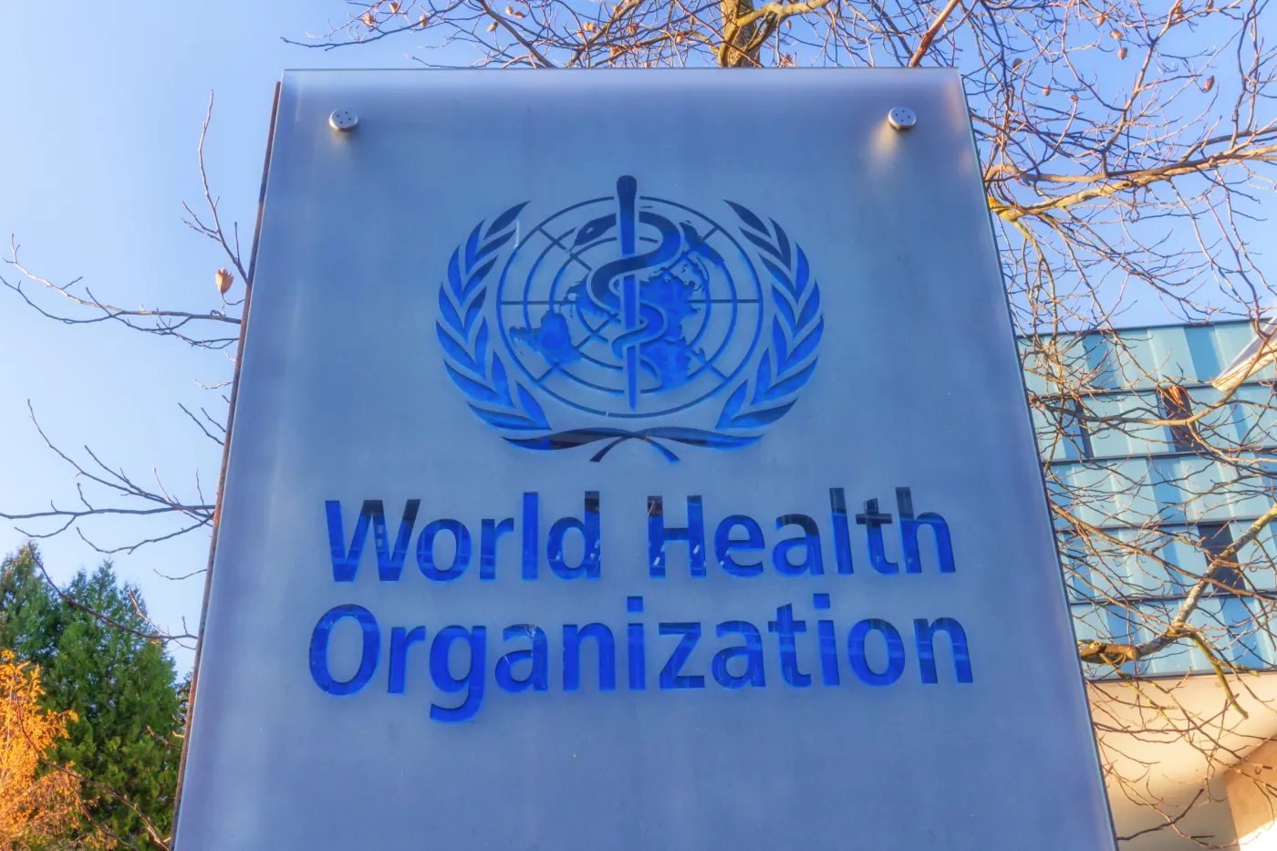 World Health Organization, Who
