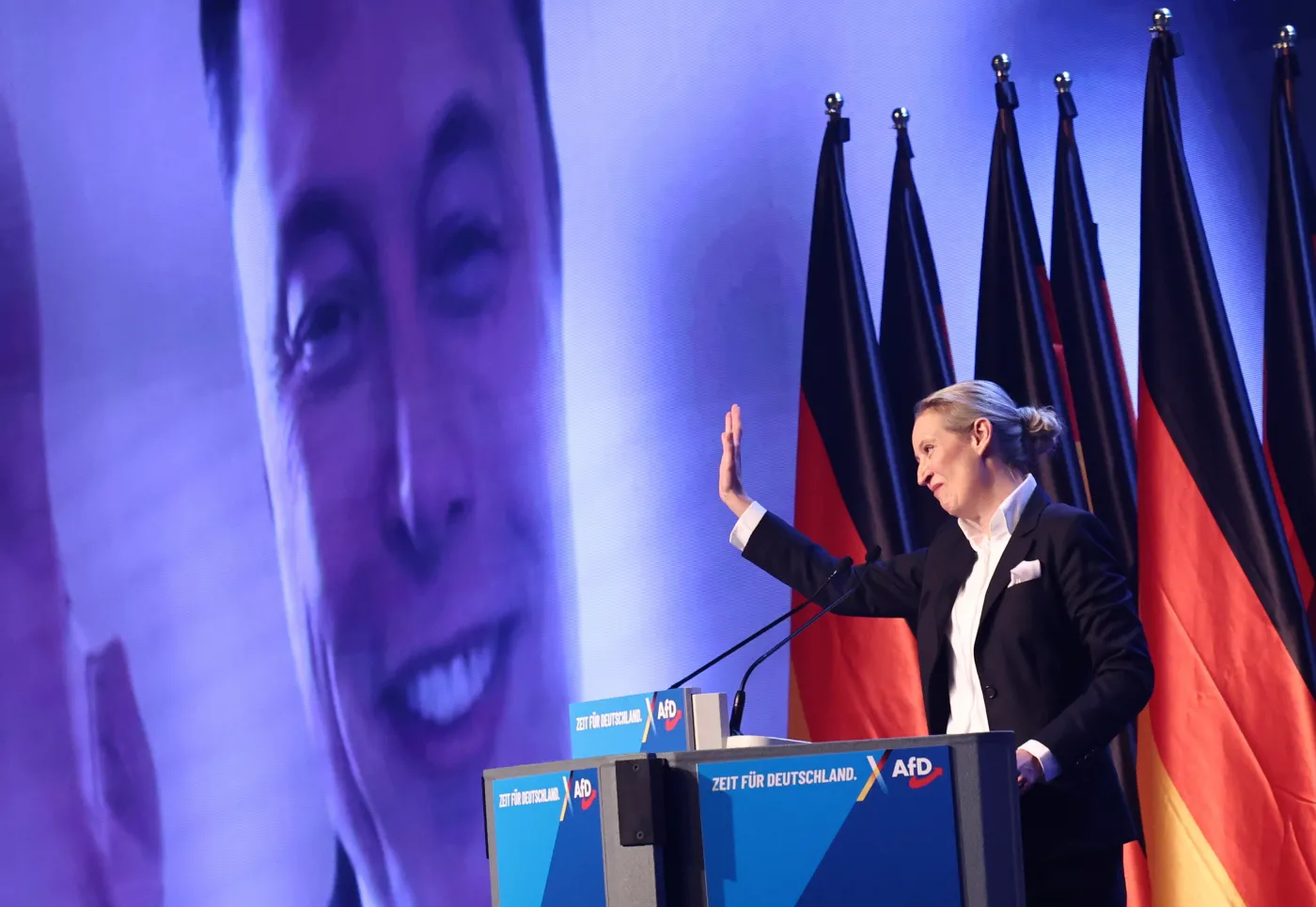 Wiec przedwyborczy AfD