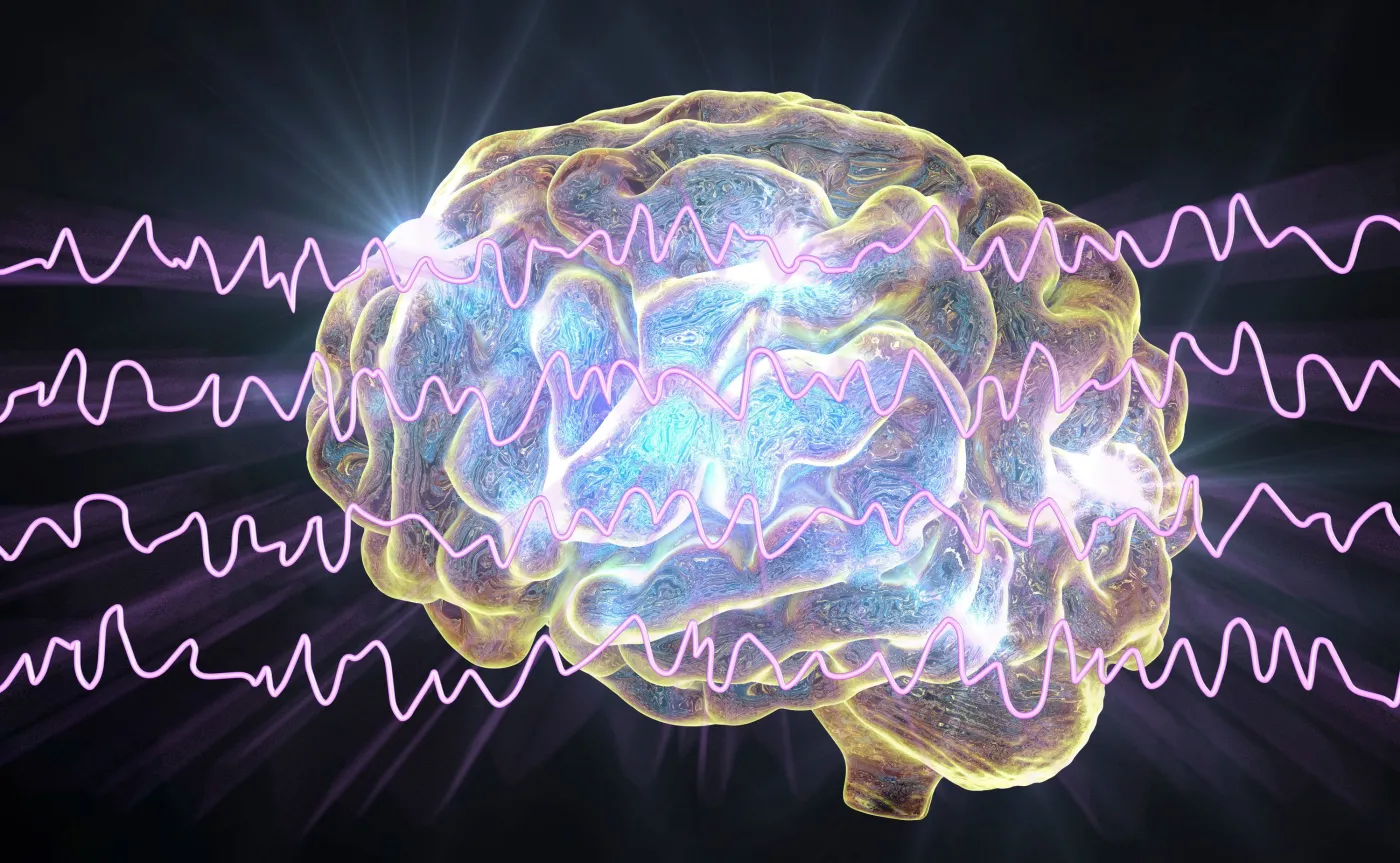 Naukowcy stworzyli matematyczny model, opisujący pracę ośrodków wzroku