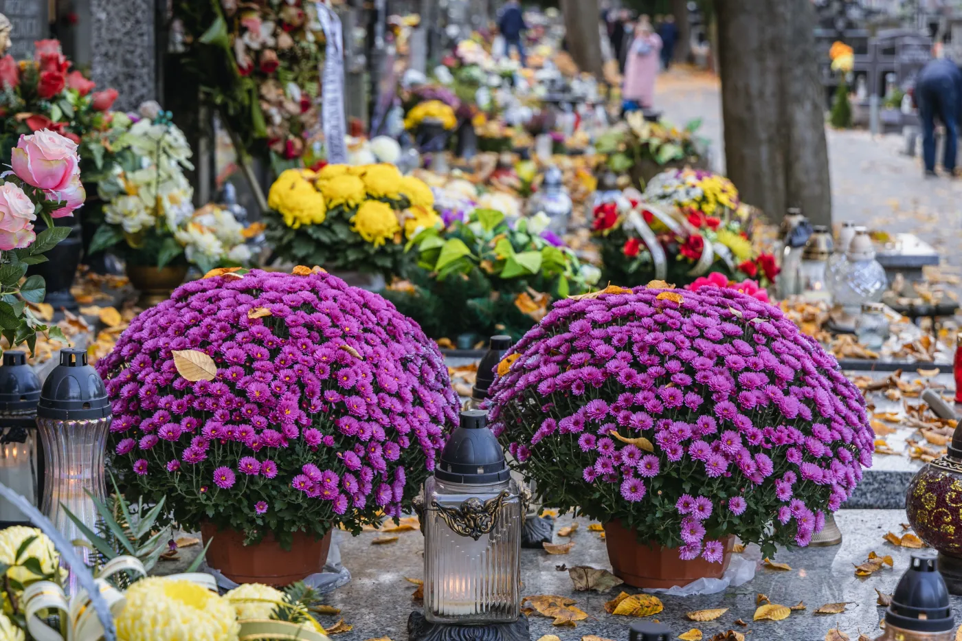 Wszystkich Świętych. Ile trzeba zapłacić za znicze i kwiaty?