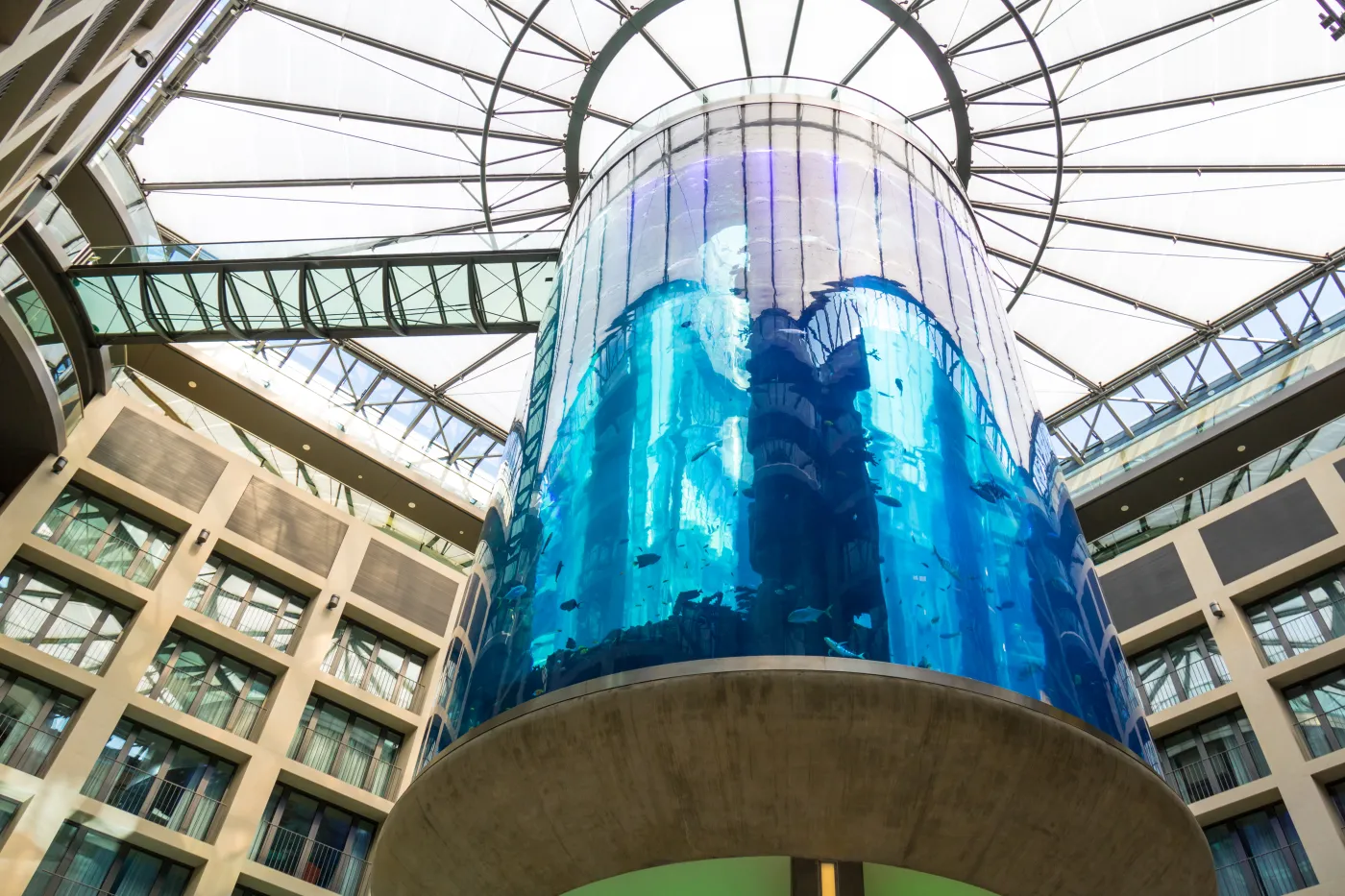 Dlaczego prawie rok temu pękło akwarium w Berlinie? Są wyniki śledztwa