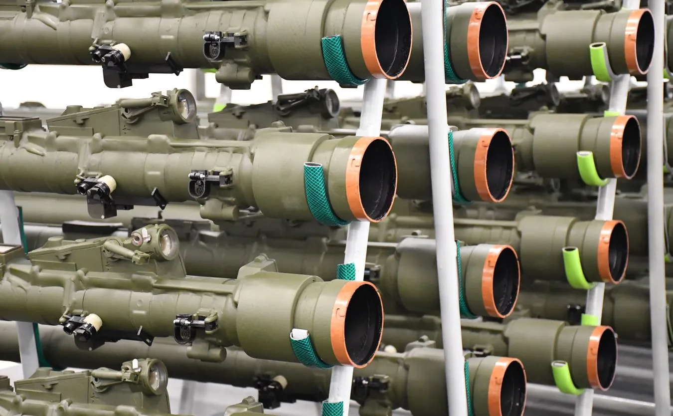 Niemcy chcą kupić polskie zestawy Piorun. Sprawa „wymaga dopięcia”