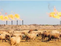 Amerykanie nie dorobili się na irackiej ropie