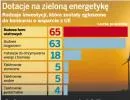 Dotacje na odnawialne źródła energii: 160 firm walczy, wygra kilka